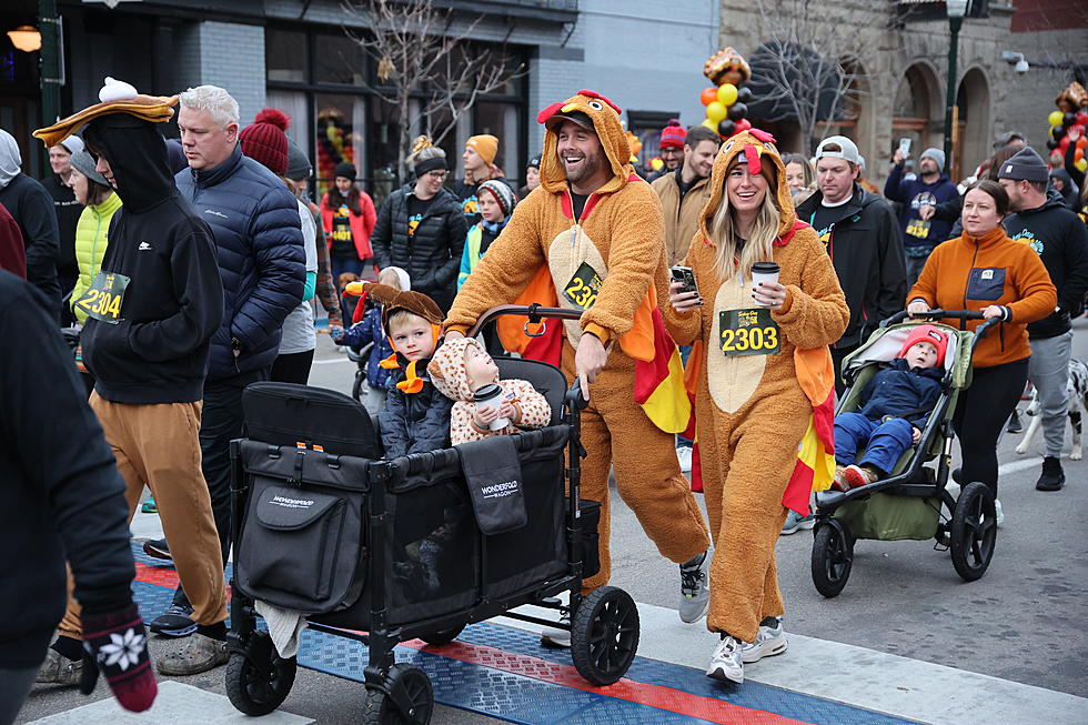 Boise Area Taken Over by Turkey Trotters [photos]