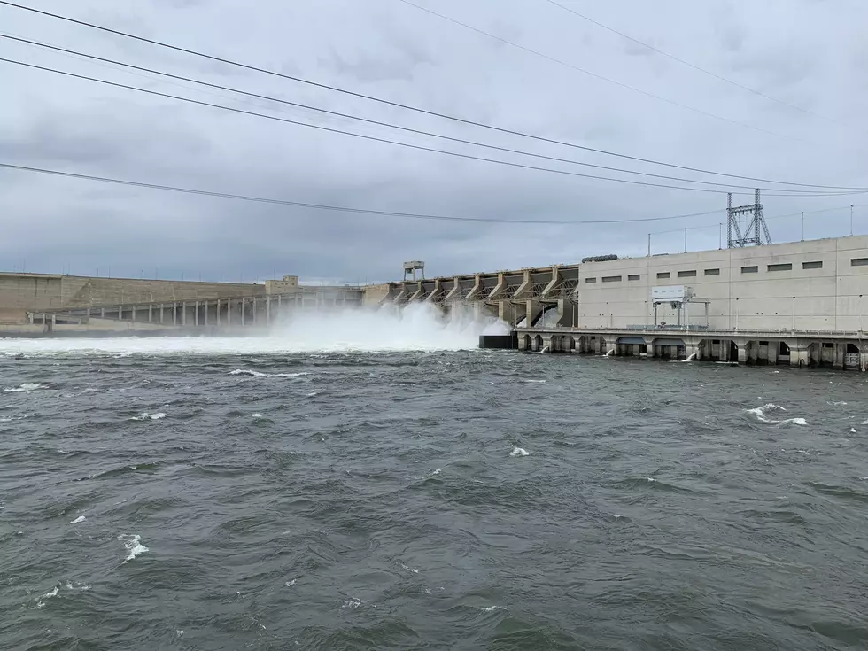 Removing The Dams Doesn’t Guarantee Improved Salmon Numbers, Newhouse Says